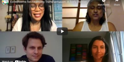Ecosystems for Financing Transformation: A lively frontier
