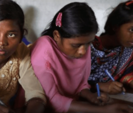 Co-Impact at a Glance